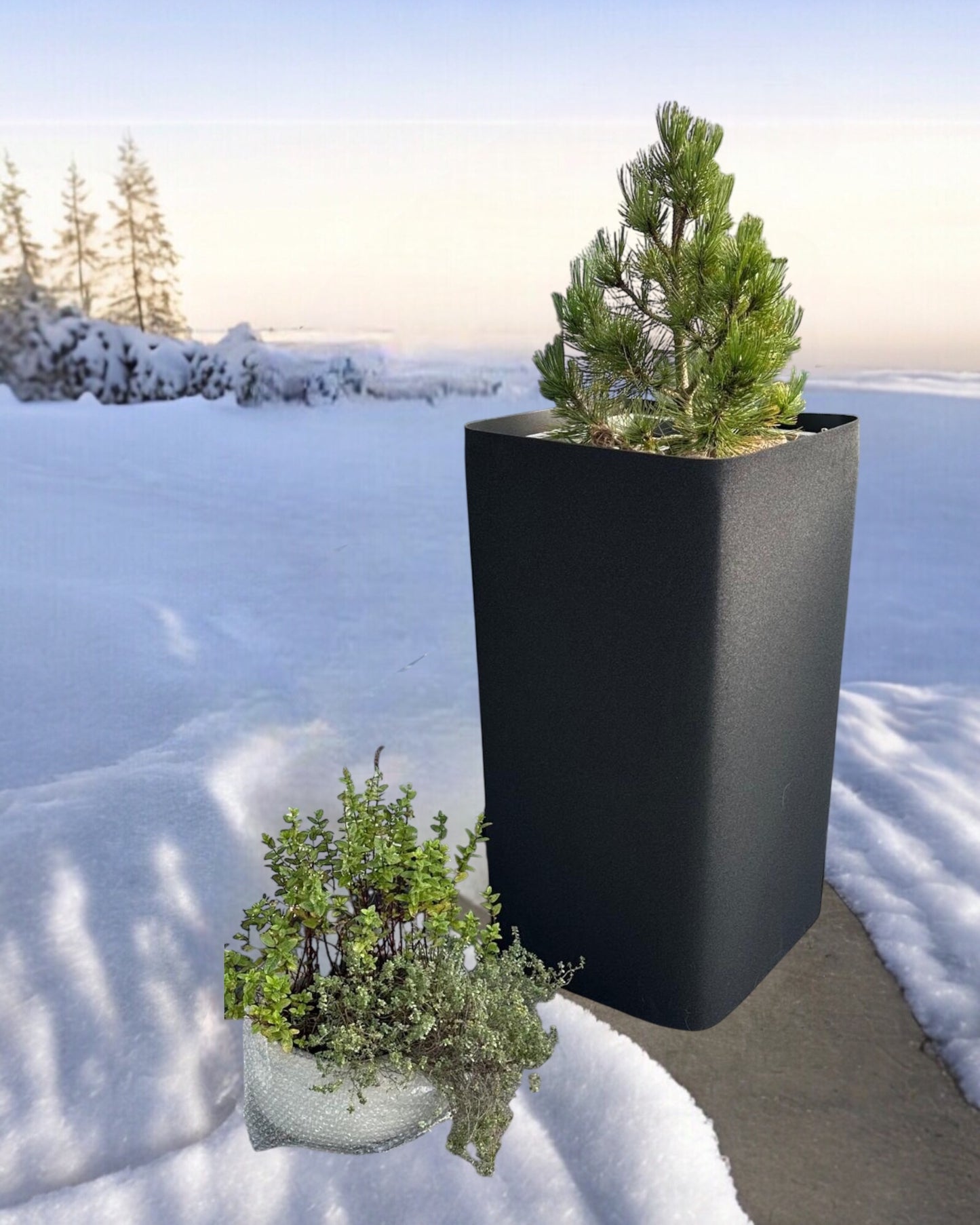 Pflanzenschutzmatte Winterschutzmatte Frostschutz für Pflanzen Frostschutz für Pflanzentöpfe