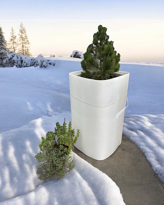 Pflanzenschutzmatte Winterschutzmatte Frostschutz für Pflanzen Frostschutz für Pflanzentöpfe