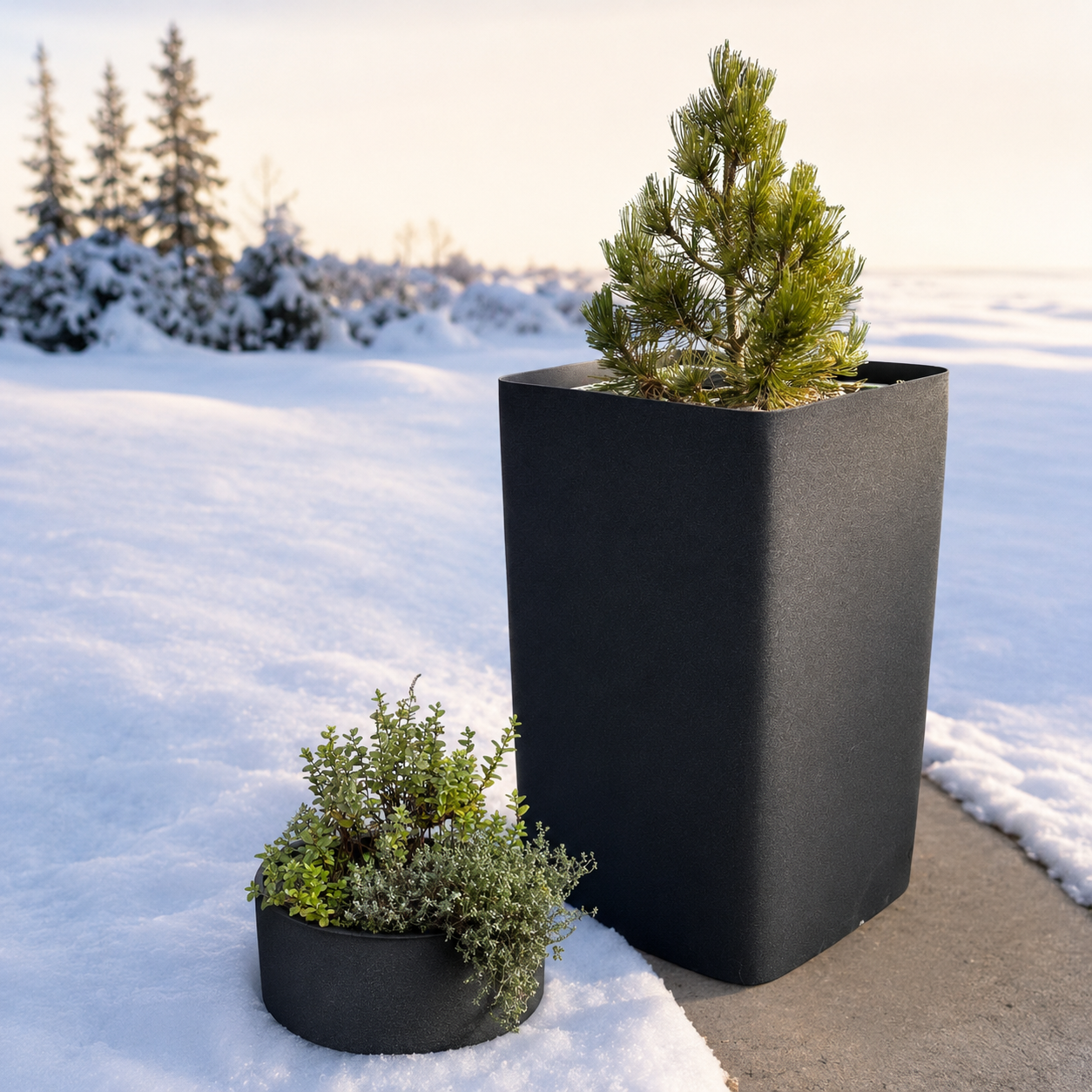 Universelle XPE Schaumstoffmatte als Winterschutzmatte und Pflanzenschutz für Blumenkübel bei Frost und Schnee